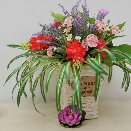 Cornelia Bed and breakfast 3*