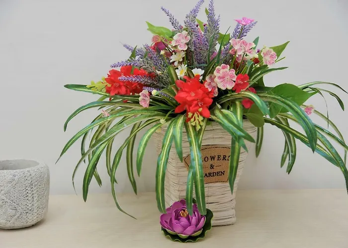 Cornelia Отель типа 